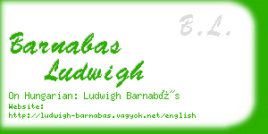 barnabas ludwigh business card